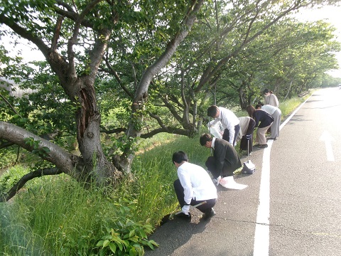 二川支店「梅田川の桜の木周辺の清掃活動」