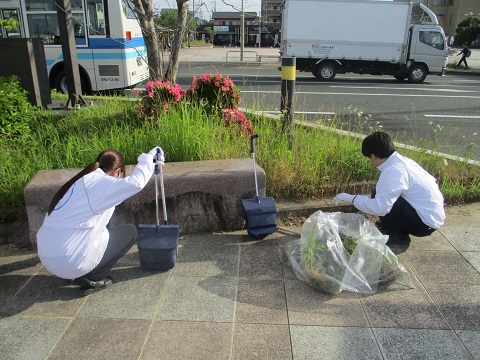 湖西支店「とよしん湖西クリーン活動」